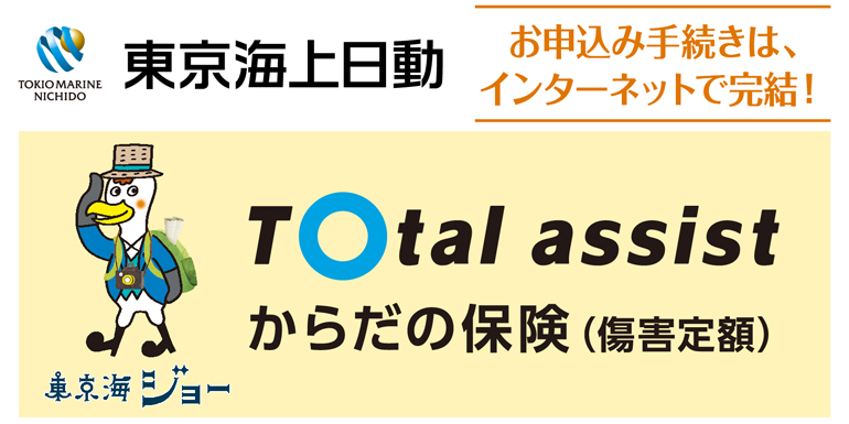 からだの保険(傷害定額)